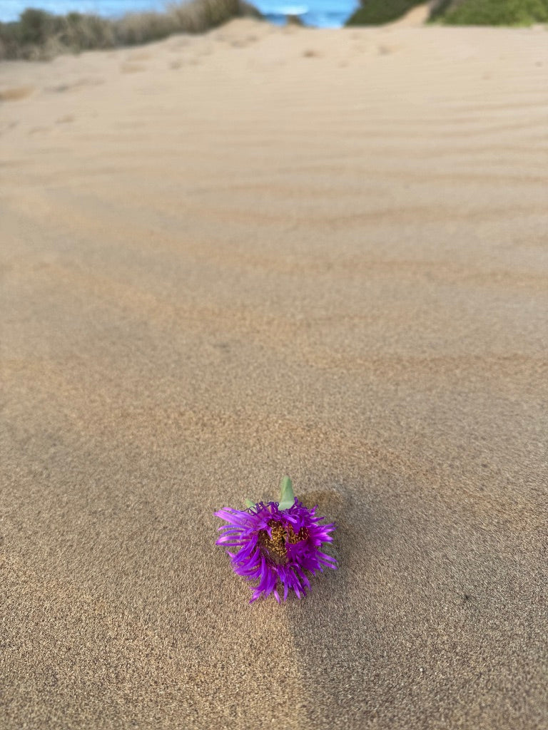 Menopause 101: Understanding the Basics