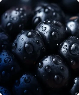 Antioxidants