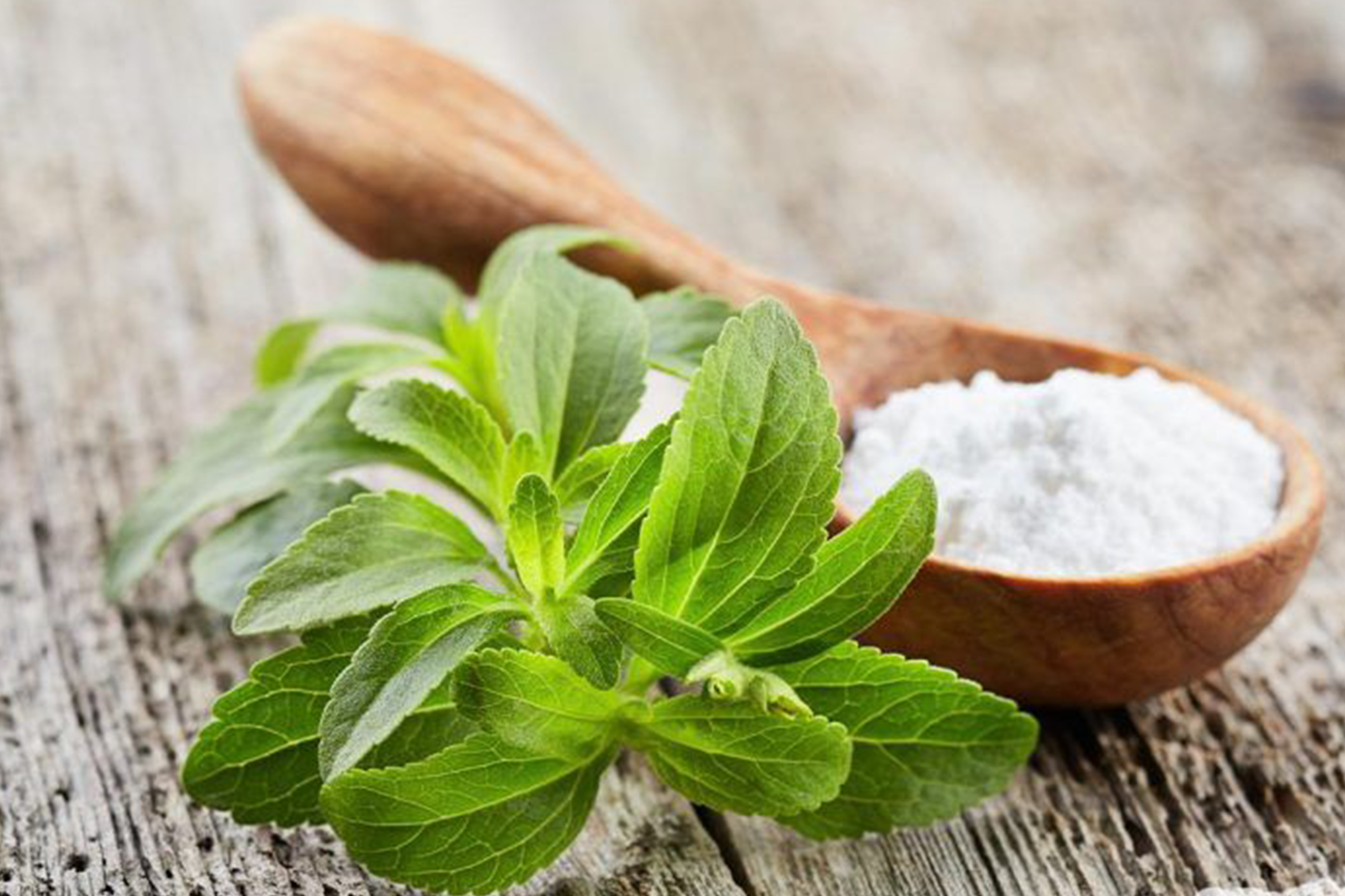 Stevia